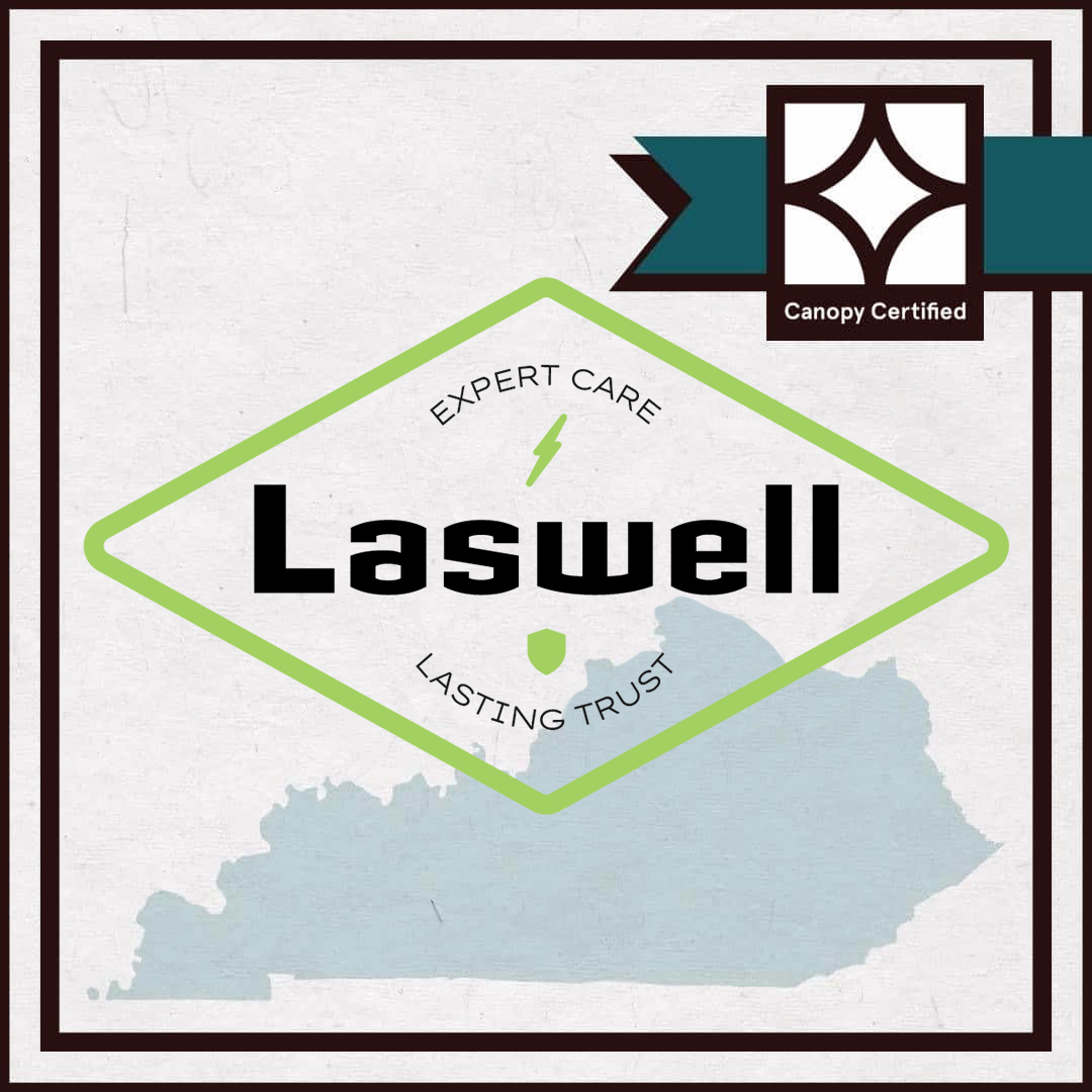 Canopy Certification certificate featuring Laswell logo.